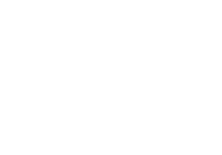 ブレーンメディア参入記念 開発者インタビュー